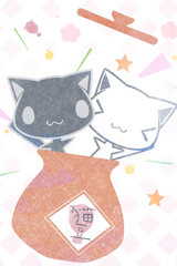 猫豆